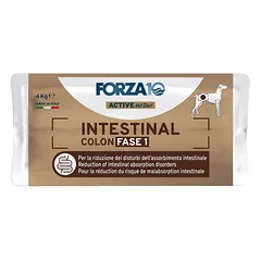 Forza10 Intestinal Colon Active 1 fazės dietinis sausas maistas suaugusiems šunims su chronišku kolitu, 4 kg — 3 nuotrauka