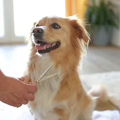 Magic Brush kirpimo žirklės, 1 vnt. — 4 nuotrauka
