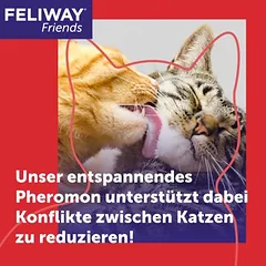 FELIWAY Friends raminanti priemonė katėms, 30 dienų feromonų garintuvo pradinis rinkinys: garintuvas + buteliukas — 2 nuotrauka