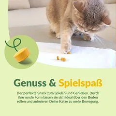 GimCat sūrio vamzdeliai, skanėstai katėms, > 250 g — 2 nuotrauka