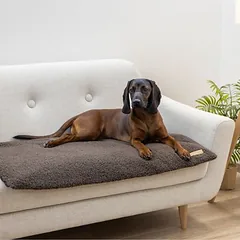 Kerbl Pet Multifunktionsmatratze, Kerbl Pet Multifunktionsmatratze ca. L 72 x B 50 x H 5 cm — 2 nuotrauka
