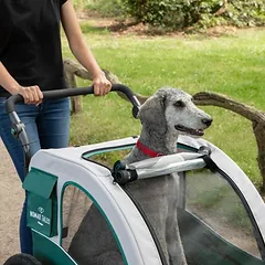 Nomad Tales Spirit Bike Trailer für E-Bike