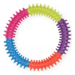PET NOVA DENTAL spalvotas spygliuotas minkštas žiedas 12.5cm 2vnt