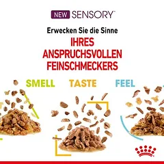 Royal Canin Sensory Feel drebutyje, drėgnas maistas katėms — 5 nuotrauka