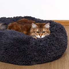 Guolis šunims ir katėms 80 cm — 4 nuotrauka