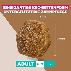 Eukanuba Grain Free Adult Small & Medium su ėriena, sausas maistas šunims — 5 nuotrauka