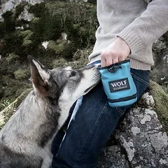 Wolf of Wilderness Snackbeutel