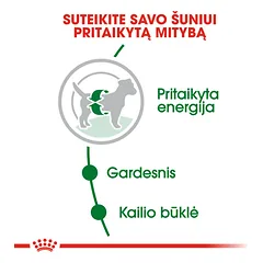 ROYAL CANIN SHN Mini adult sausas maistas suaugusiems šunims 2 kg — 3 nuotrauka