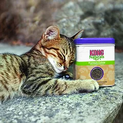 KONG Cat Naturals Premium Catnip džiovinta kačių mėta žaislų papildymui katėms, 56,7 g — 2 nuotrauka