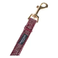 Nomad Tales Calma pavadėlis šunims, burgundy, 200 cm ilgio, 20 mm pločio — 5 nuotrauka