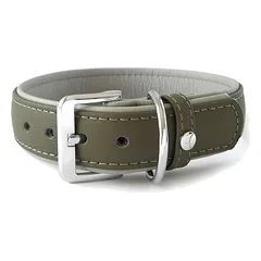 Das Lederband Hundehalsband Amsterdam capers/grey