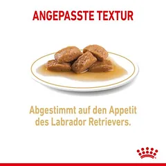 Royal Canin Labrador Retriever Adult padaže, drėgnas maistas šunims — 4 nuotrauka