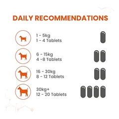 VETZYME Conditioning papildas šunims N240 — 3 nuotrauka