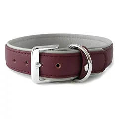 Das Lederband Hundehalsband Amsterdam merlot/grey