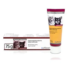 Alfavet ReConvales Päppelpaste