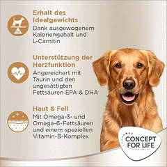 Concept for Life Golden Retriever Adult sausas maistas šunims, > 10 kg — 4 nuotrauka
