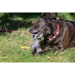 DOGGY DOODLES žaislas šunims asiliukas, pilkas, 17 cm — 4 nuotrauka