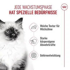 Royal Canin Kitten drebutyje, drėgnas maistas kačiukams — 4 nuotrauka