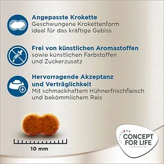 Concept for Life British Shorthair Adult sausas maistas katėms – patobulinta receptūra!, < 1,4 kg — 5 nuotrauka