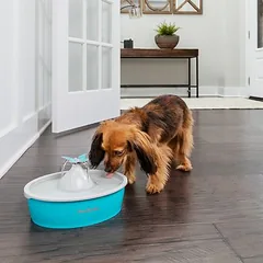 PetSafe® Drinkwell® Butterfly girdymo fontanas, Priedas: pakaitiniai putplastikio filtrai (2 vnt.) — 3 nuotrauka