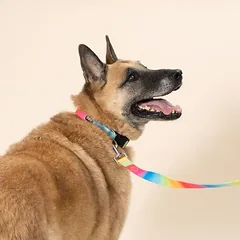 TIAKI pavadėlis šunims Rainbow, Vidutiniams 11–25 kg — 5 nuotrauka