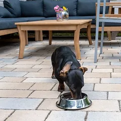 TIAKI nerūdijančio plieno dubenėlis Bye Bye Insects, 500 ml, Ø 19 cm — 4 nuotrauka