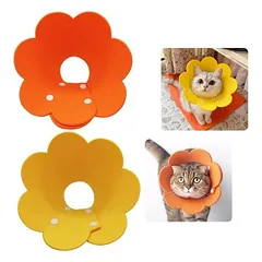 Zoomtopia Collier cône fleuri chat convalescence 2 pièces taille M