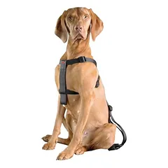 Europet Bernina D&D Dog-Secure automobilinė saugos diržų sistema šunims, XS, krūtinės apimtis 20-50 cm — 4 nuotrauka