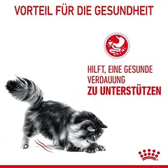 Royal Canin Digestive Care sausas maistas katėms, 3 - 4,9 kg — 4 nuotrauka