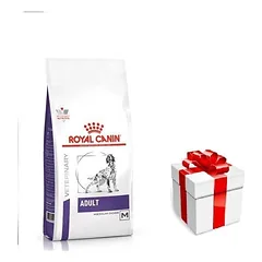 ROYAL CANIN Adult Skin&Digest 4kg + STAIGMENA ŠUNIUI