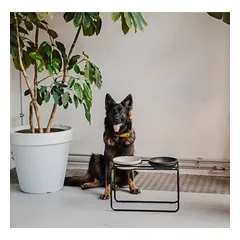 District 70 BUTLER stovas dubenėliams, M, juodas, 24cm — 3 nuotrauka