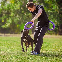 Puller Standard 28 cm 2 vnt. - žiedas dideliems šunims, treniruočių žaislas, 2szt — 2 nuotrauka