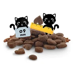Lucky Lou Kitten su paukštiena ir vištiena, sausas maistas kačiukams, 1,5 - 2,9 kg — 5 nuotrauka