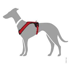 HUNTER NEOPRENE petnešos iš neopreno šunims, L, raudonos — 4 nuotrauka