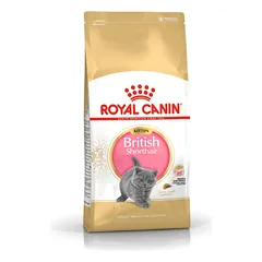 Royal Canin British Shorthair Kitten sausas maistas britų trumpaplaukių kačiukams