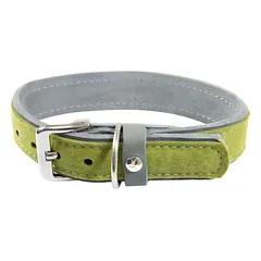 Das Lederband antkaklis šunims Norden Lime/Granite