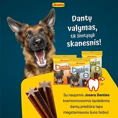 Josera Denties Turkey & Apple skanėstai šunims 180 g — 2 nuotrauka