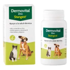 Stangest Dermovital Zinc pašaro papildas šunims ir katėms