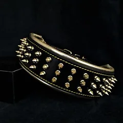 Bestia Hundehalsband Goldener Riese