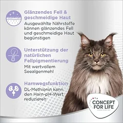 Concept for Life Beauty Adult sausas maistas katėms – patobulinta receptūra!, 3 - 4,9 kg — 4 nuotrauka