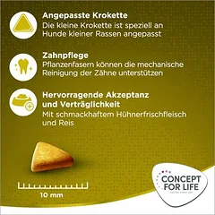 Concept for Life Mini Adult sausas maistas šunims, 3 - 4,9 kg — 5 nuotrauka