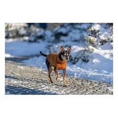 Trixie CityStyle Berlin Dog Pullover, Size S 40 cm, Rust — 3 nuotrauka
