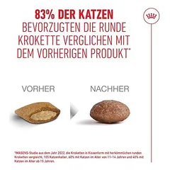 Royal Canin Ageing 15+ sausas maistas katėms, 3 - 4,9 kg — 4 nuotrauka