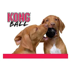 KONG Ball Extreme žaislas šunims, Ekonominė pakuotė: 2 x S: Ø apie 6 cm — 4 nuotrauka