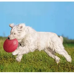 TRIXIE frisbee diskas šunims iš kaučiuko, skraidantis, plaukiantis, 22 cm — 4 nuotrauka