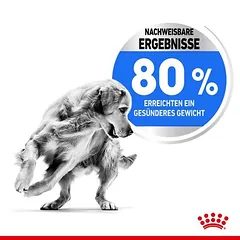 Royal Canin Medium Light Weight Care sausas maistas šunims, > 10 kg — 4 nuotrauka