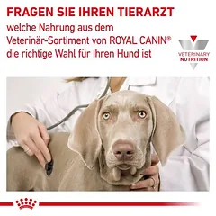 Royal Canin Veterinary Canine Renal Special Mousse drėgnas maistas šunims — 5 nuotrauka