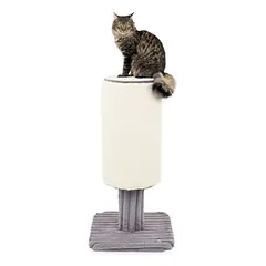 Canadian Cat Company Kratzstamm JASPER