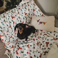 TIAKI pagalvė Funny Winter Dog, L 50 x B 30 cm — 3 nuotrauka