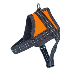 Fleksas oranžinės petnešos šunims, XS, 35 cm — 4 nuotrauka